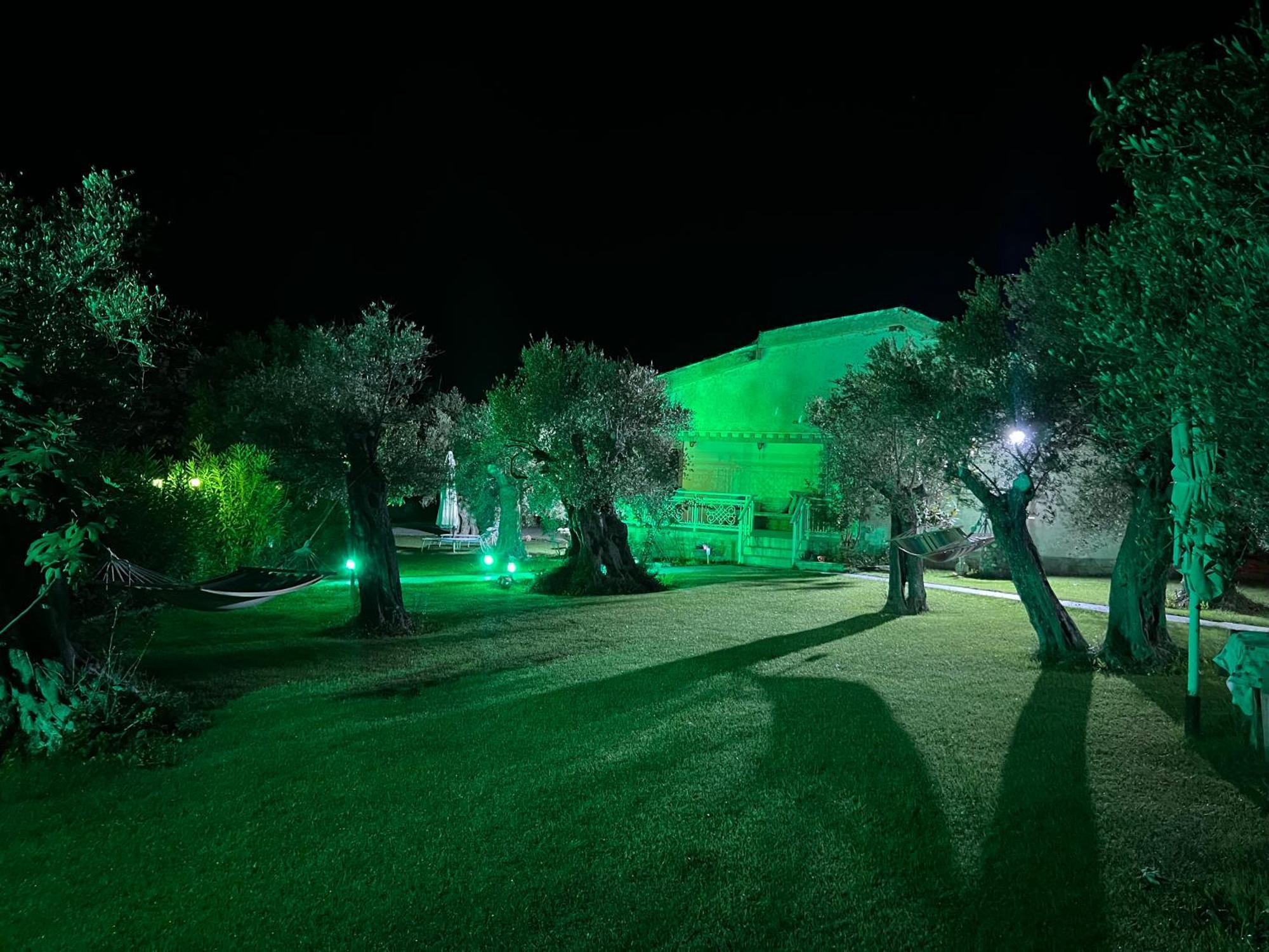 Terry'S Villa Makri Dış mekan fotoğraf