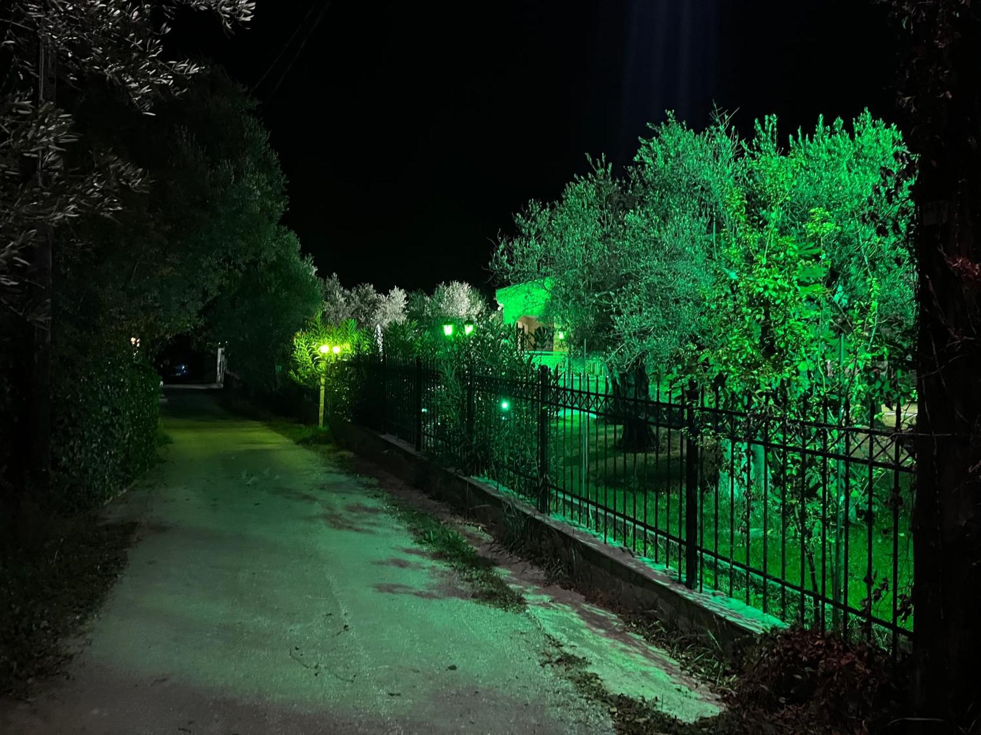 Terry'S Villa Makri Dış mekan fotoğraf