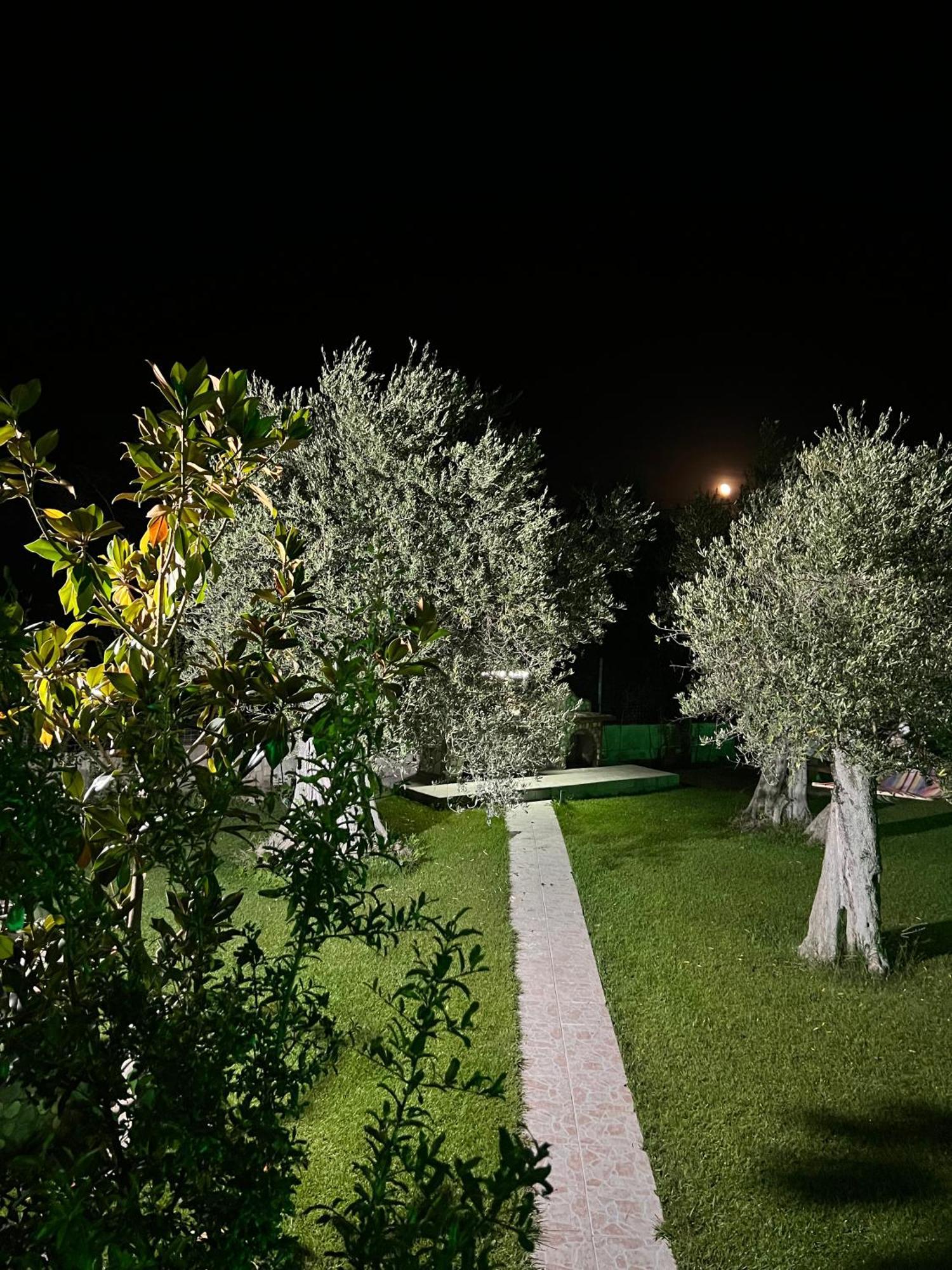 Terry'S Villa Makri Dış mekan fotoğraf