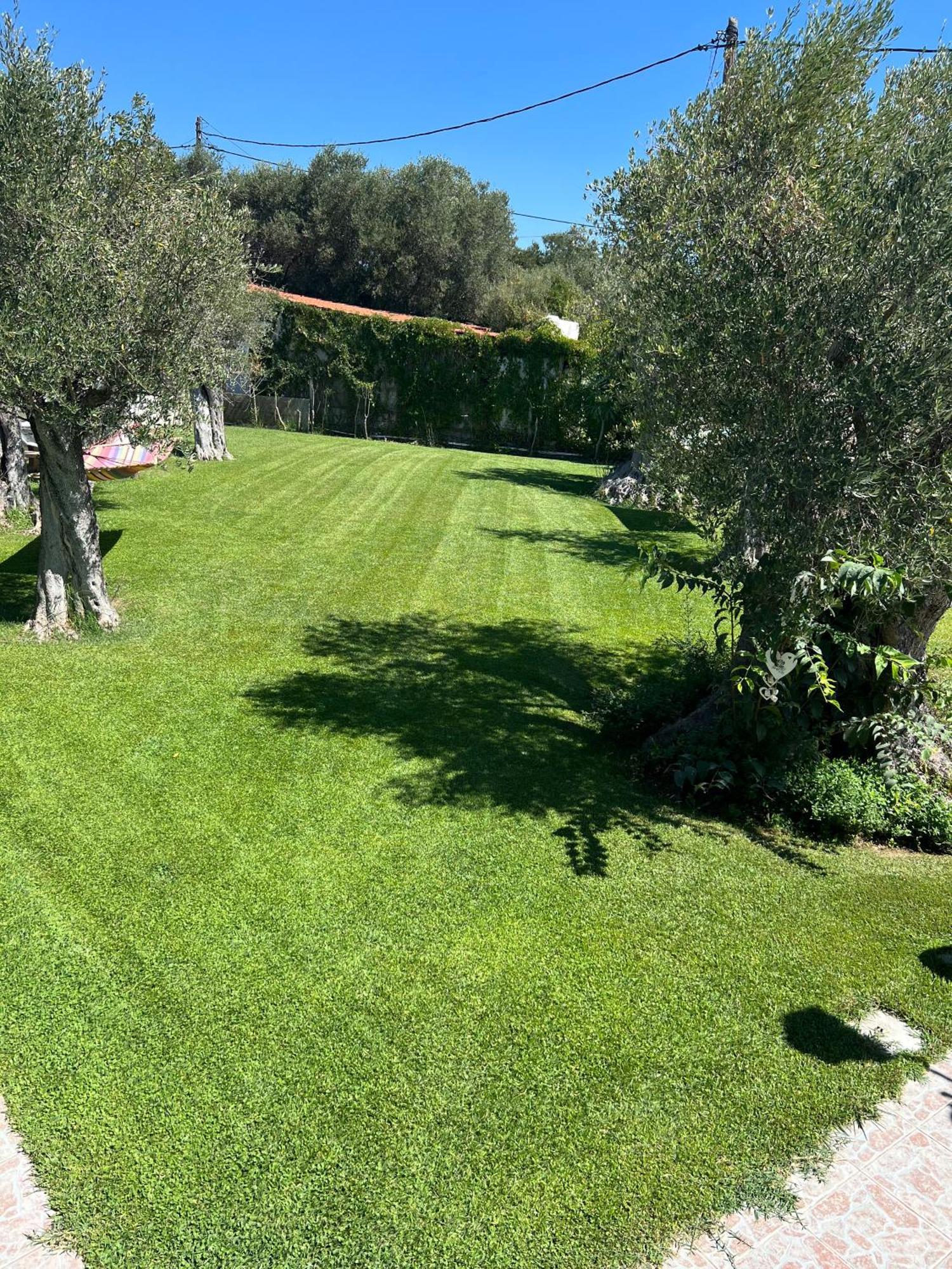 Terry'S Villa Makri Dış mekan fotoğraf